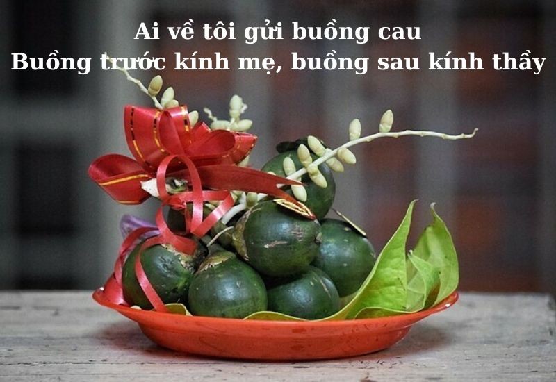 Hình ảnh những câu thơ về lòng hiếu thảo