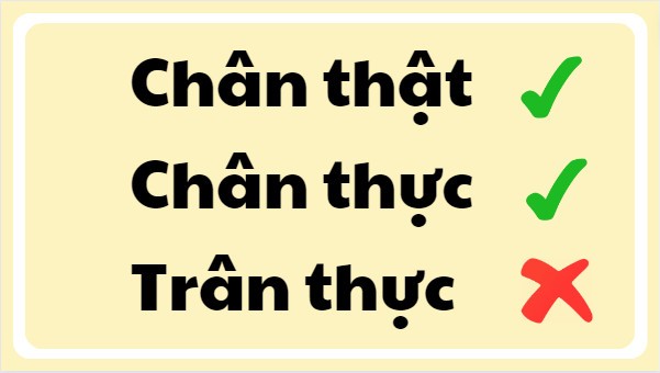 chan that hay chan thuc hay tran thuc 1