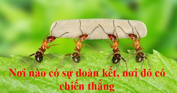 Đoàn kết là chiến thắng