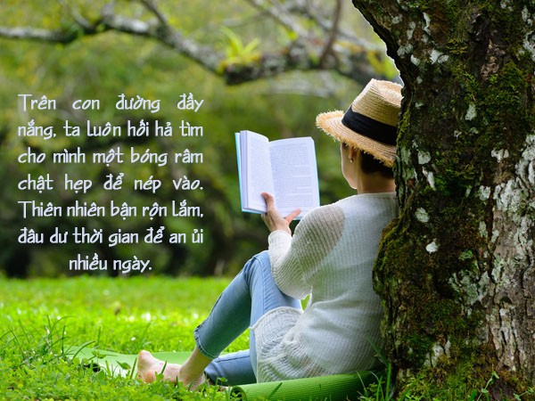 Cảnh quan thiên nhiên với cây xanh và dòng suối