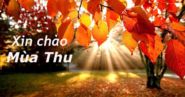 Cảnh lá vàng rơi trên con đường mùa thu