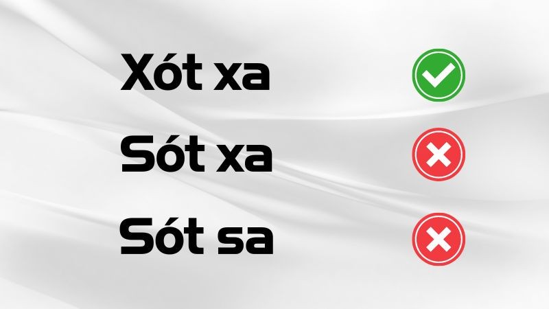 Nghĩa của từ xót xa, sót xa và sót sa