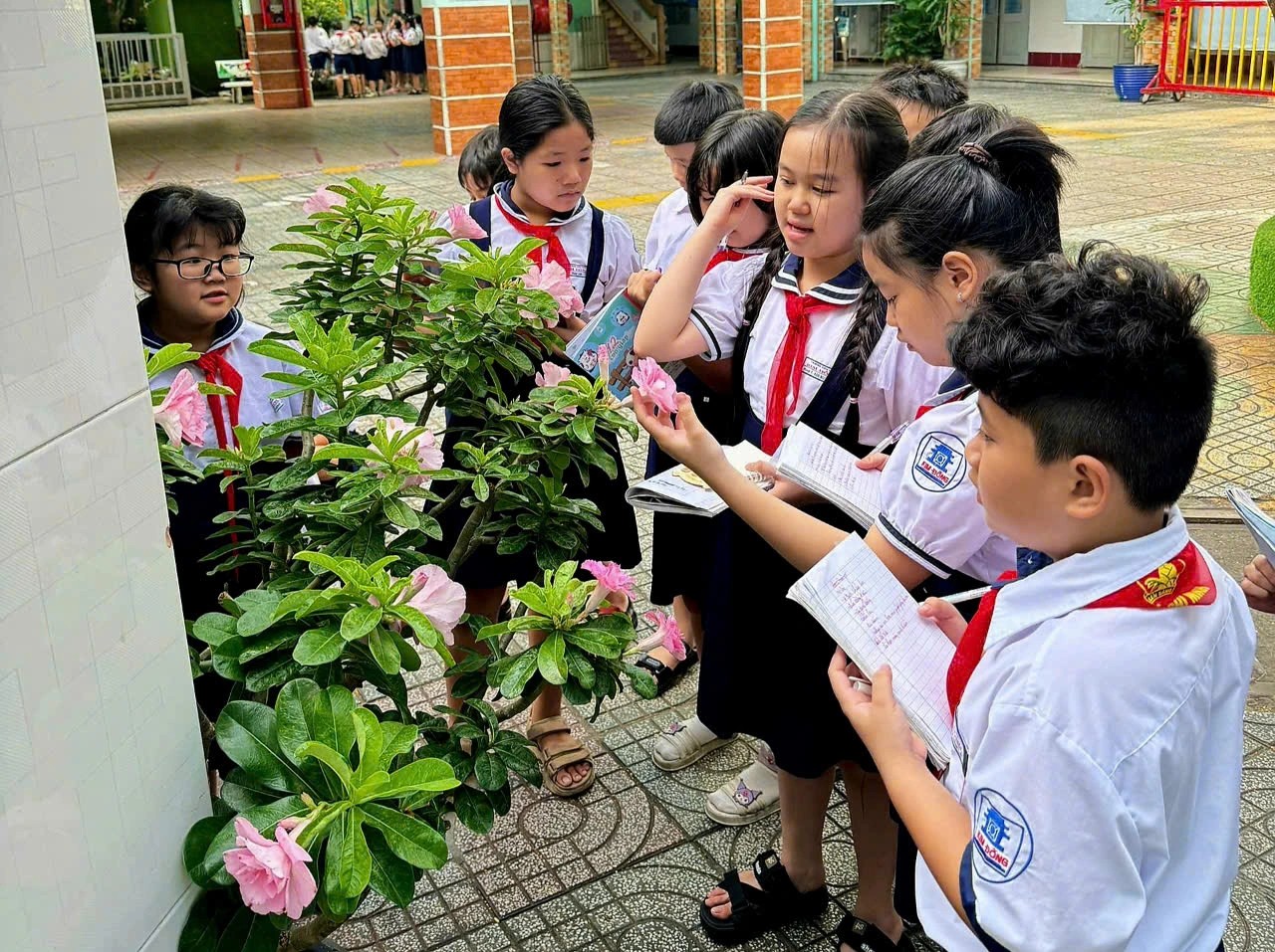 Tiết tập làm văn được học ngoài vườn trường