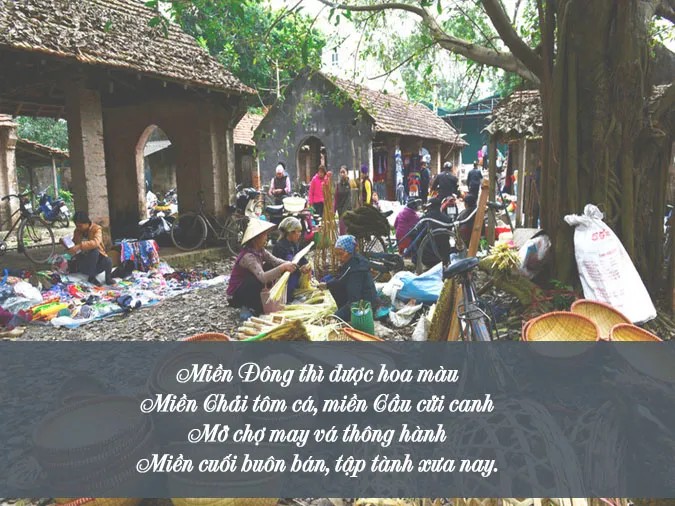 Người nông dân cẩn thận chăm sóc ruộng lúa.