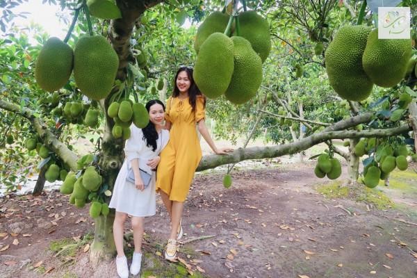 Những nụ cười rạng rỡ của du khách khi tham quan vườn trái cây