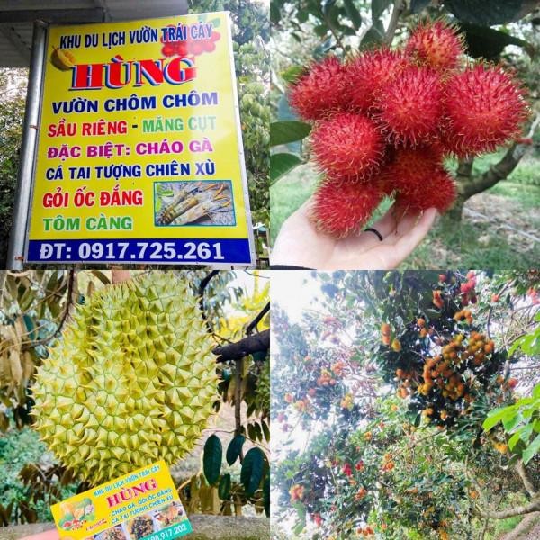 Những chùm trái cây tươi ngon đang chờ du khách khám phá
