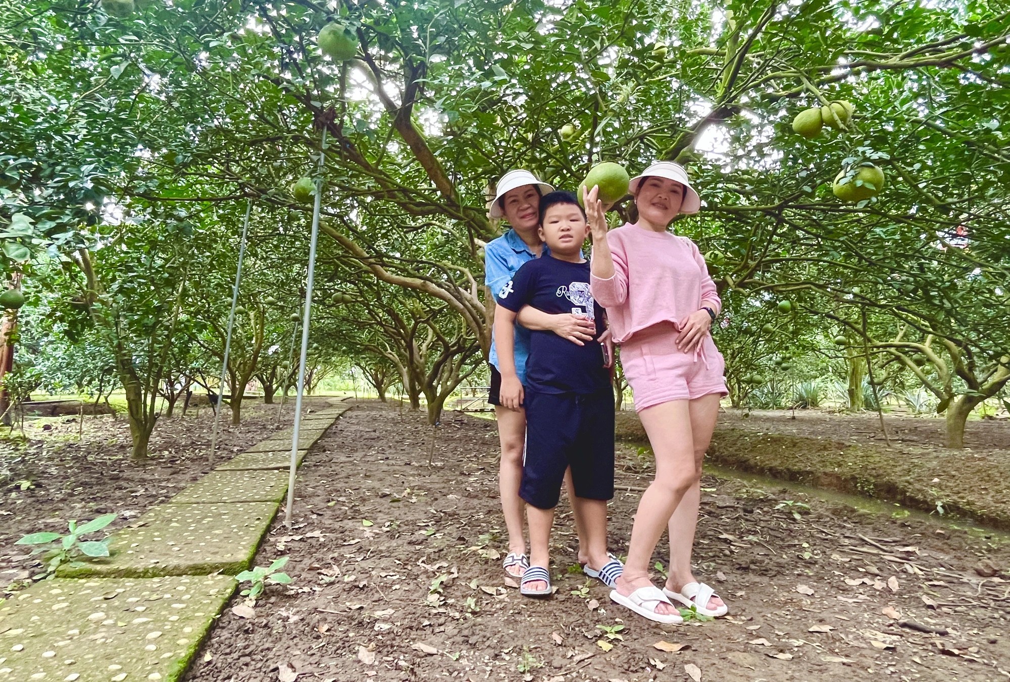 Du khách tham quan, chụp ảnh trong vườn bưởi