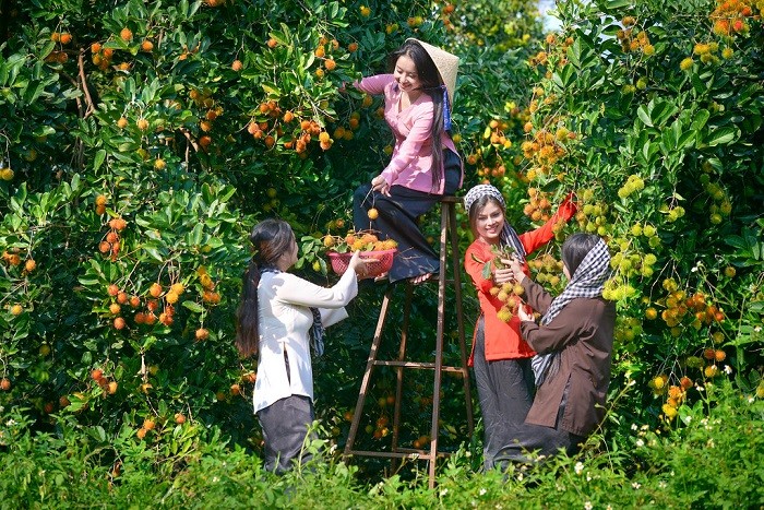 Cảnh quan yên bình tại Vườn Mai Tài Tân Phong