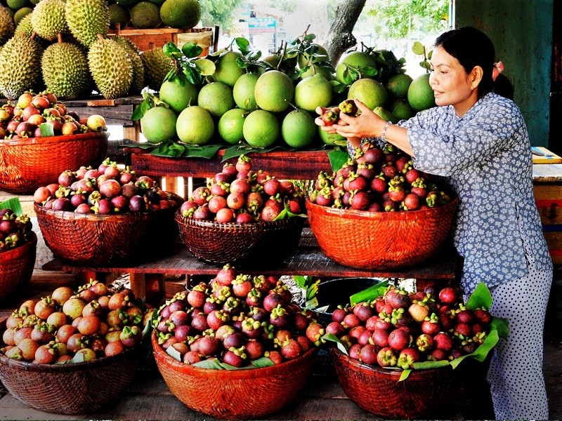 Vườn Hòa Khánh với các loại trái cây hấp dẫn