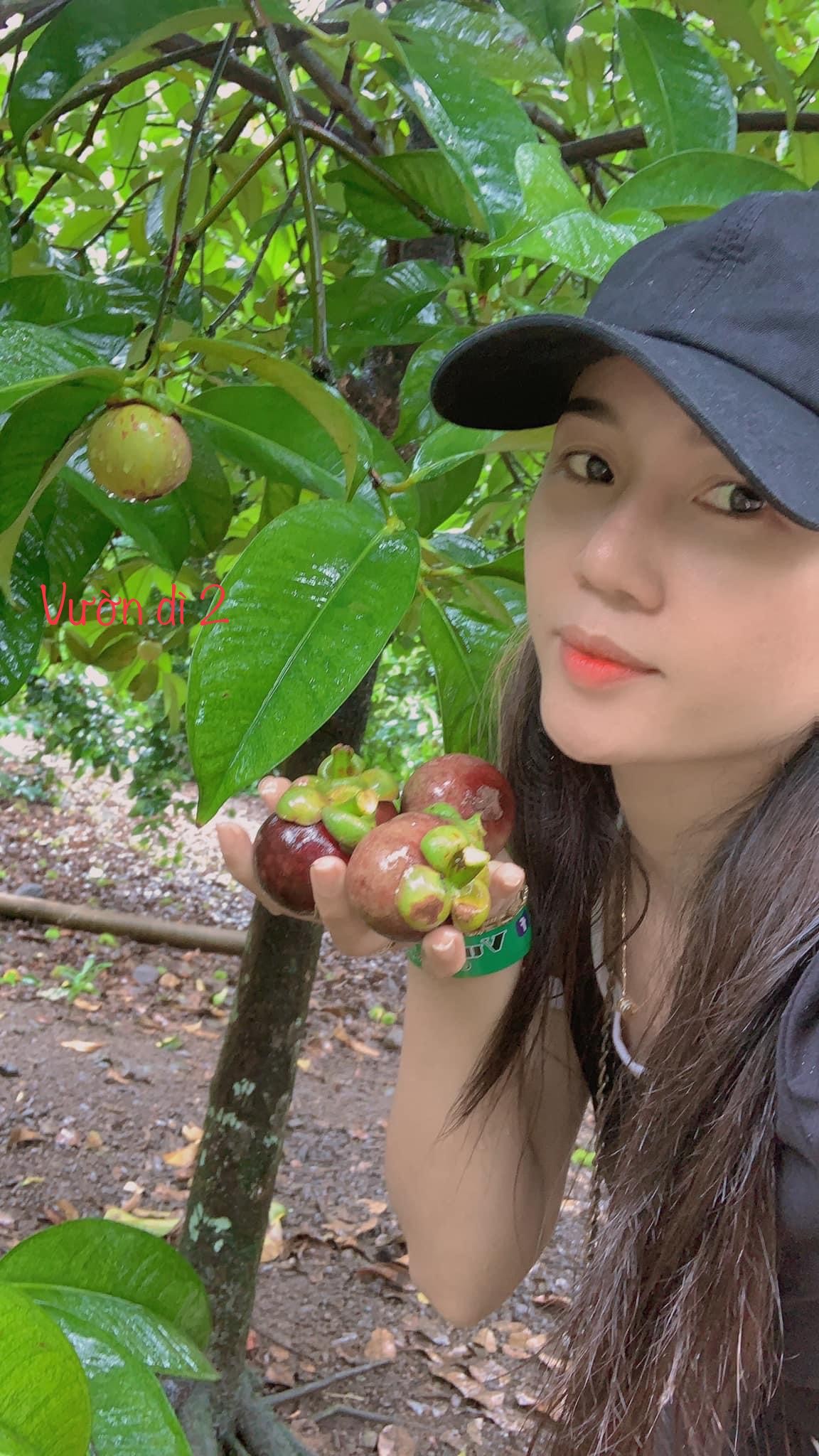 Vườn trái cây sum suê với nhiều loại trái cây khác nhau