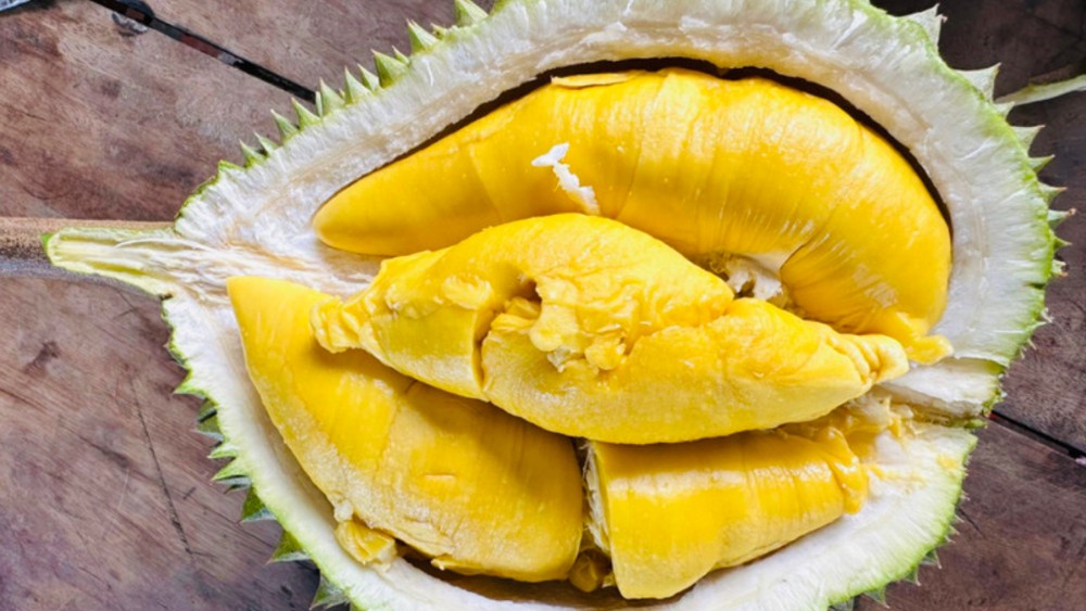 Cận cảnh múi sầu riêng Musang King màu vàng đậm, dẻo mềm