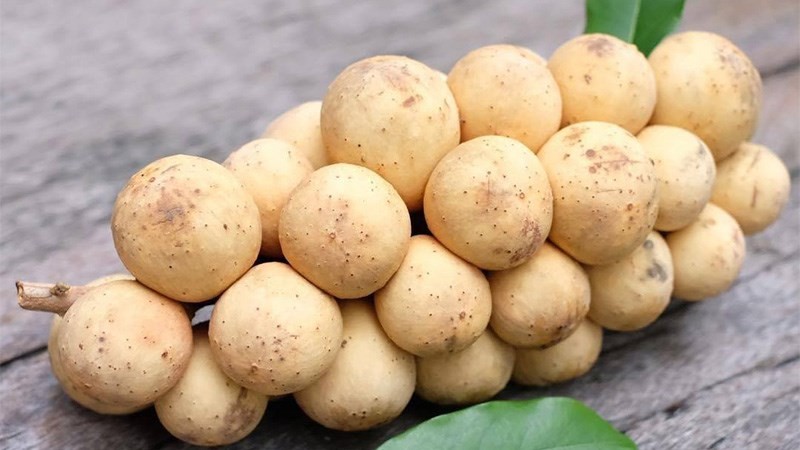 Kích thước quả bòn bon vừa phải