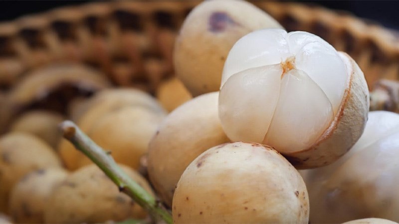 bon bon an nhu the nao cach chon mua bon bon va an bon bon tipsnote 800x450 10