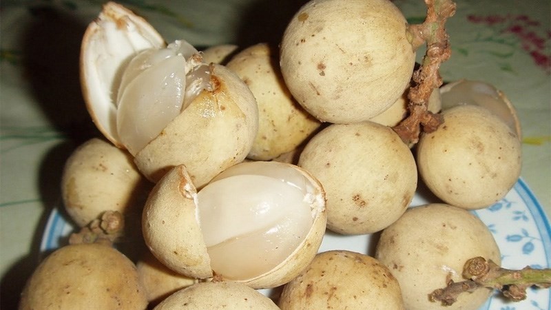 Hạt bòn bon màu đen