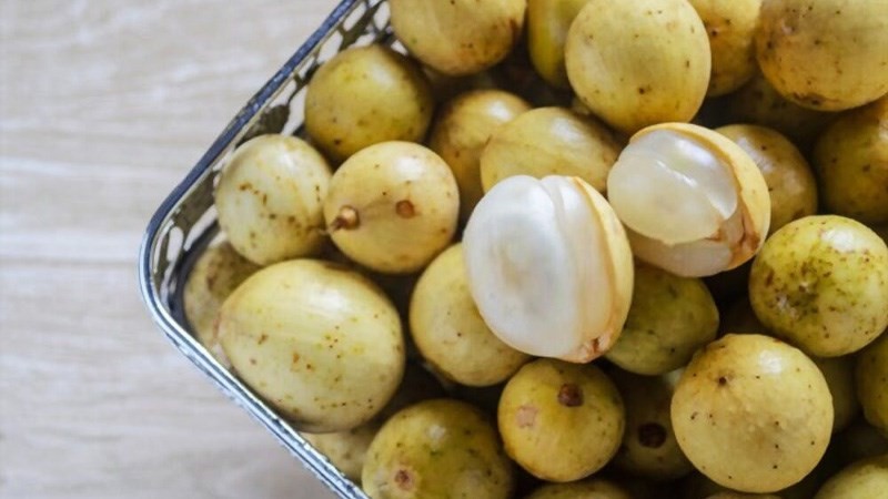 Bòn bon được bảo quản trong hộp