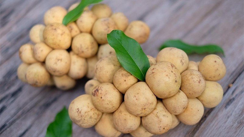 Cảnh báo không cắn vỏ bòn bon