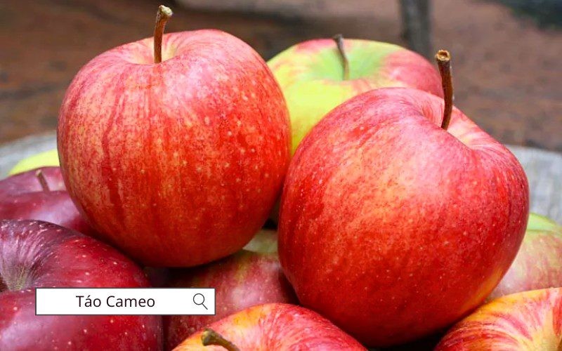 Táo Cameo có vị ngọt, hơi chua và thịt rất giòn