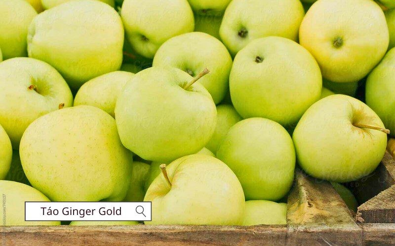 Táo Ginger Gold có hương vị ngọt nhẹ, hơi chua, rất giòn và thơm