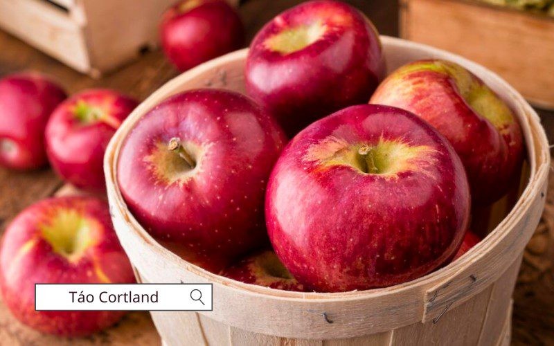 Táo Cortland có hương vị thanh nhẹ và ít ngọt