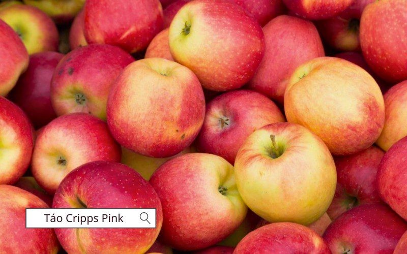 Táo Cripps Pink được biết đến với hương vị ngọt thanh, giòn và hơi chua nhẹ