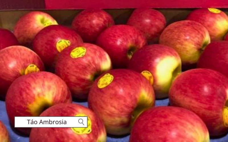 Táo Ambrosia có hương vị ngọt dịu, mọng nước và rất giòn