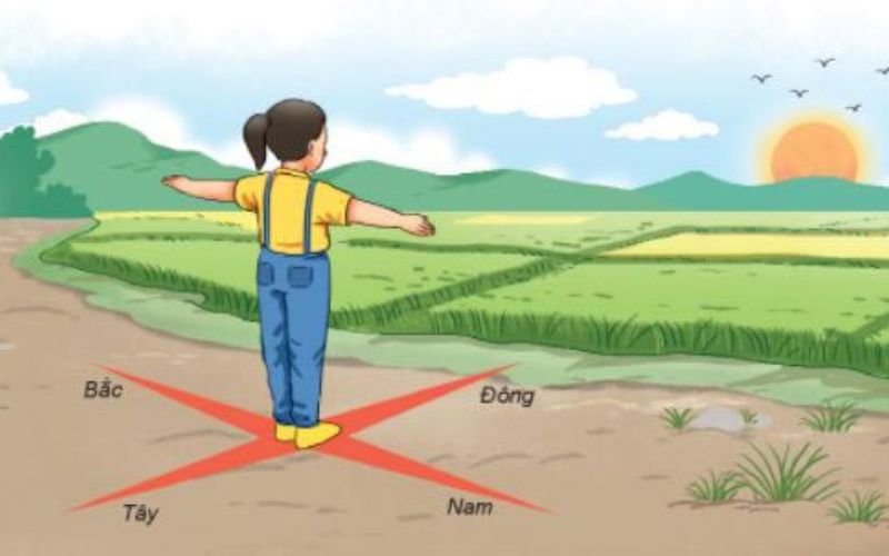 Cách xác định phương hướng ngoài thực tế khi không có la bàn 3 Xác định phương hướng mặt trời ngoài thực tế bằng cơ thể người