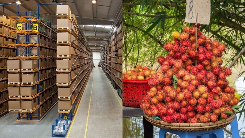 Các thùng chôm chôm được xếp gọn gàng trong kho lạnh
