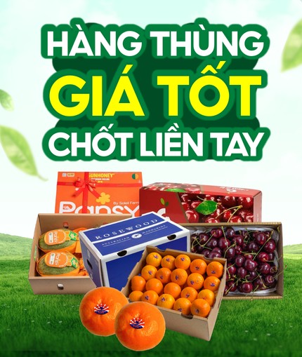 Sầu riêng Ri6